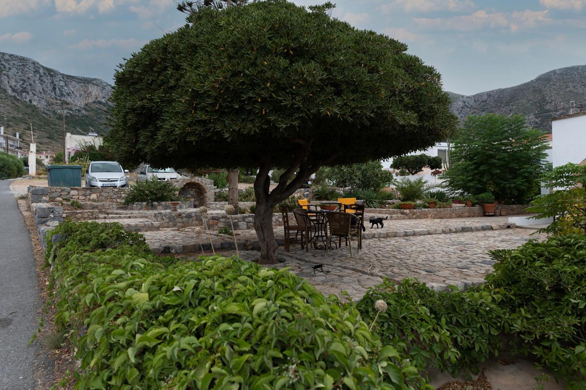 דירות Yefira Belessi'S Mansion מראה חיצוני תמונה