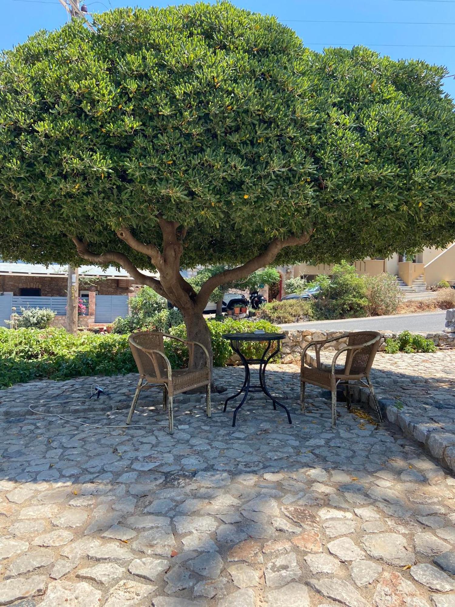 דירות Yefira Belessi'S Mansion מראה חיצוני תמונה